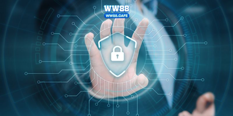 điều khoản và điều kiện