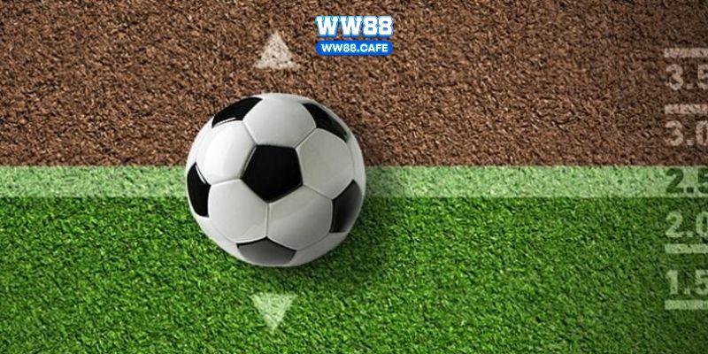 tài xỉu bóng đá