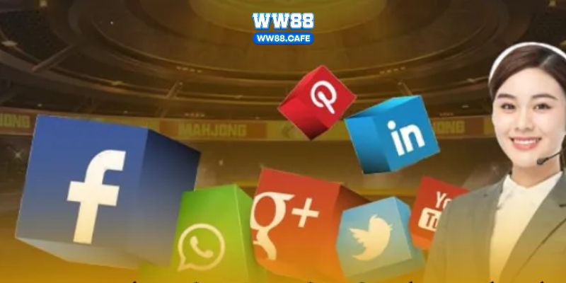 thông tin liên hệ