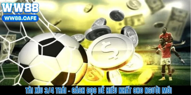Tài Xỉu 3/4 Trái – Cách Đọc Dễ Hiểu Nhất Cho Người Mới