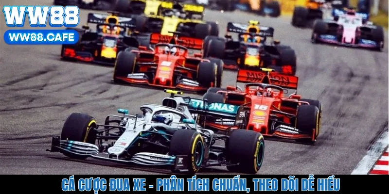 Cá Cược Đua Xe - Phân Tích Chuẩn, Theo Dõi Dễ Hiểu