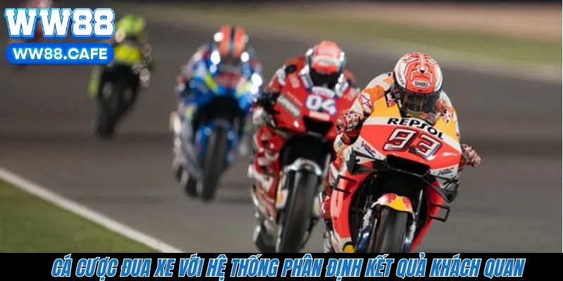 Cá cược đua xe với hệ thống phân định kết quả khách quan 