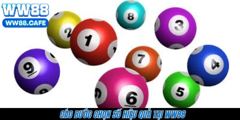Các bước chọn số hiệu quả tại WW88