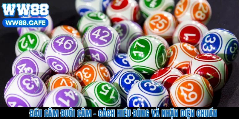 Đầu Câm Đuôi Câm - Cách Hiểu Đúng Và Nhận Diện Chuẩn