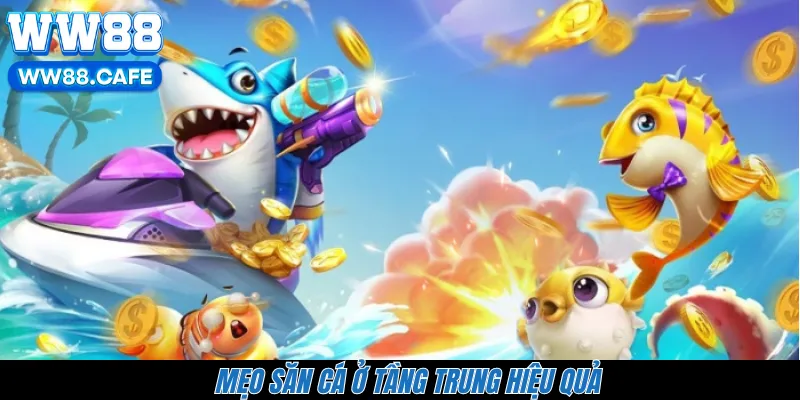 Mẹo săn cá ở tầng trung hiệu quả