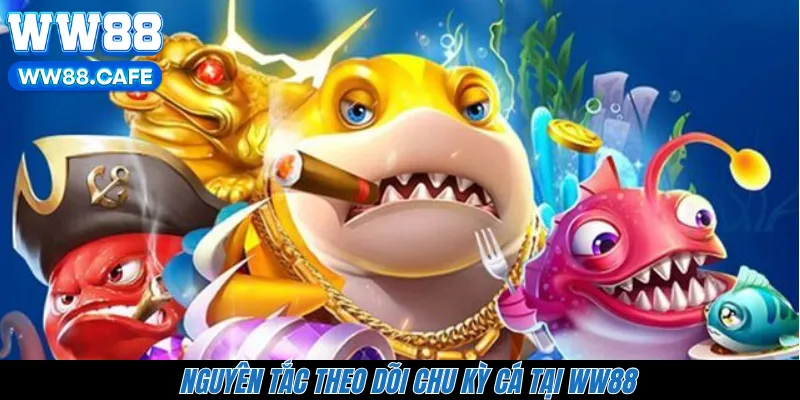 Nguyên tắc theo dõi chu kỳ cá tại WW88