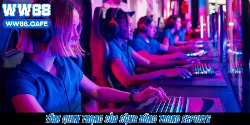 Tầm quan trọng của cộng đồng trong Esports 