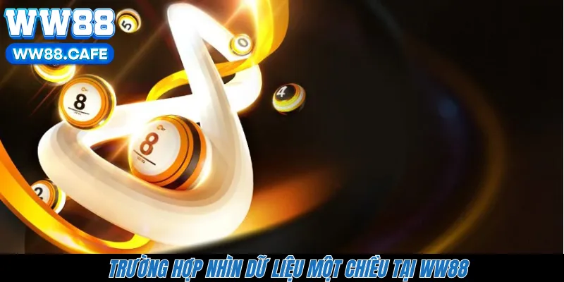 Trường hợp nhìn dữ liệu một chiều tại WW88