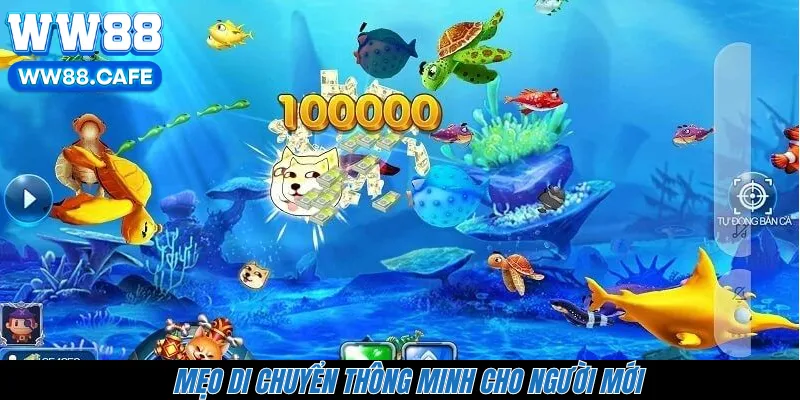 Mẹo di chuyển thông minh cho người mới 