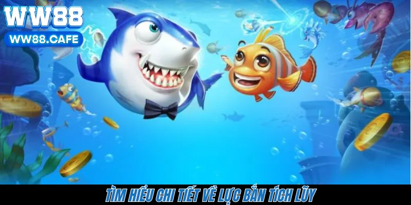 Tìm hiểu chi tiết về lực bắn tích lũy