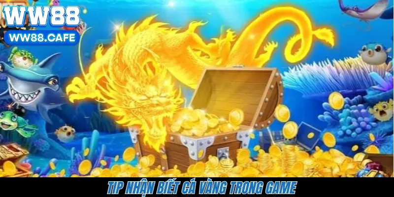 Tip nhận biết cá vàng trong game 